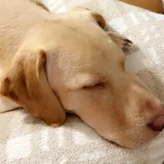 admin@getloops.social